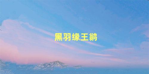 黑羽缘王鹟