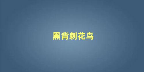 黑背刺花鸟