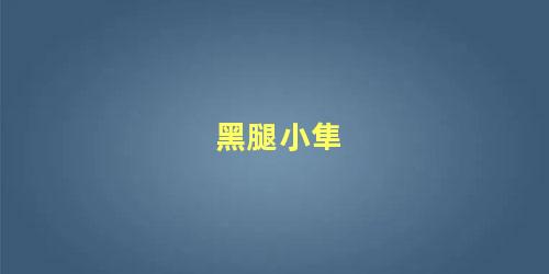 黑腿小隼