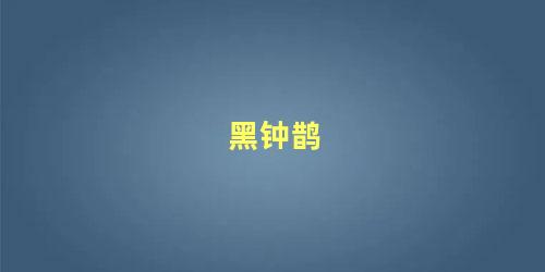 黑钟鹊