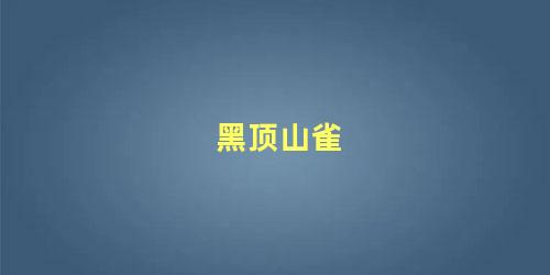 黑顶山雀