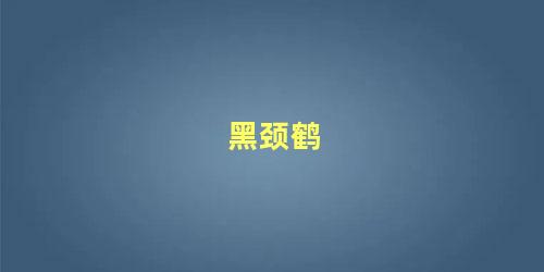 黑颈鹤