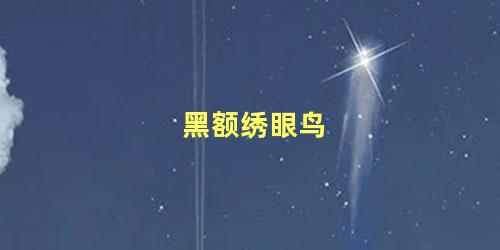 黑额绣眼鸟